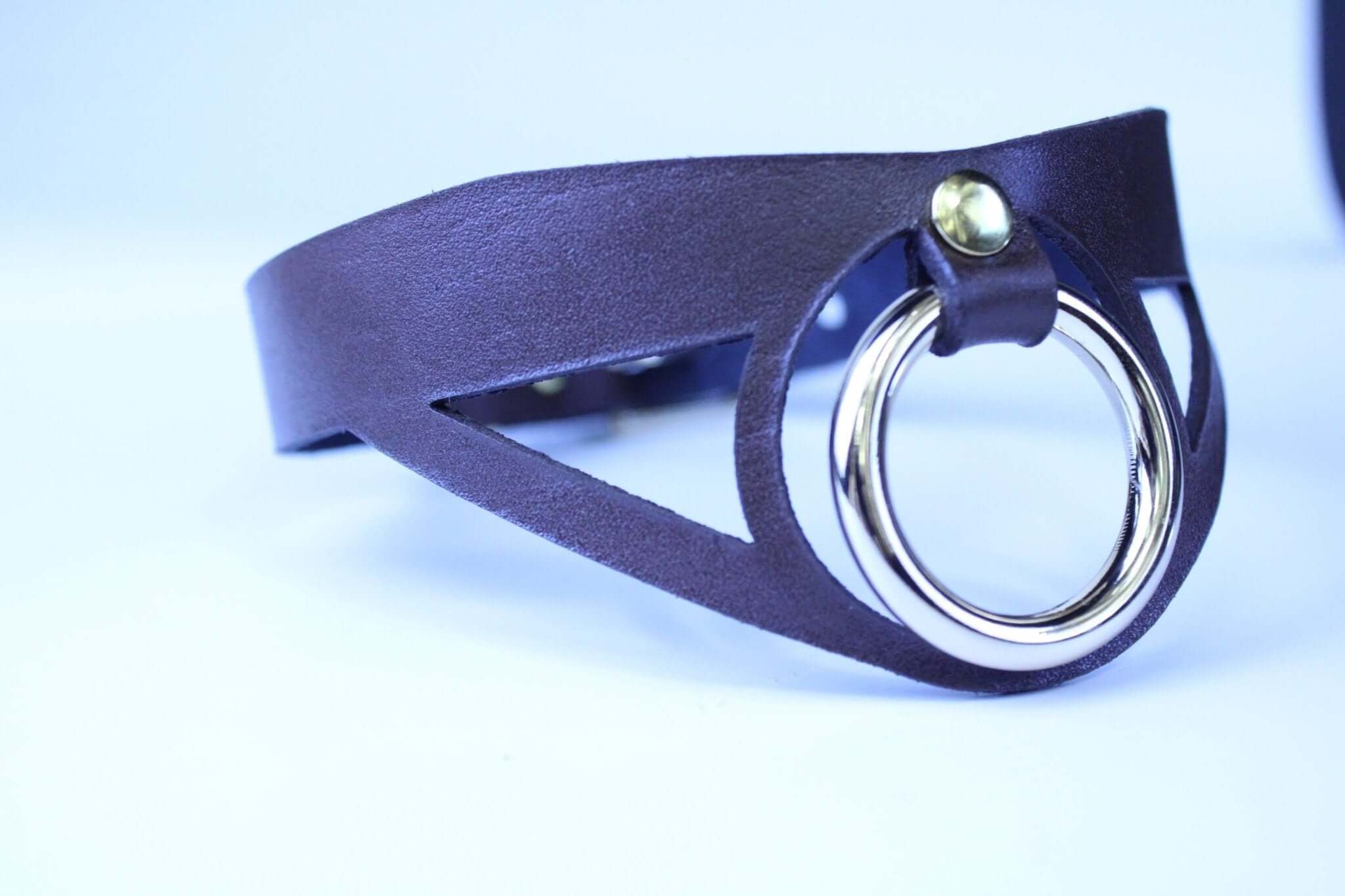 Choker Collar Minimalist BDSM Collar with Statement Ring  Elegant