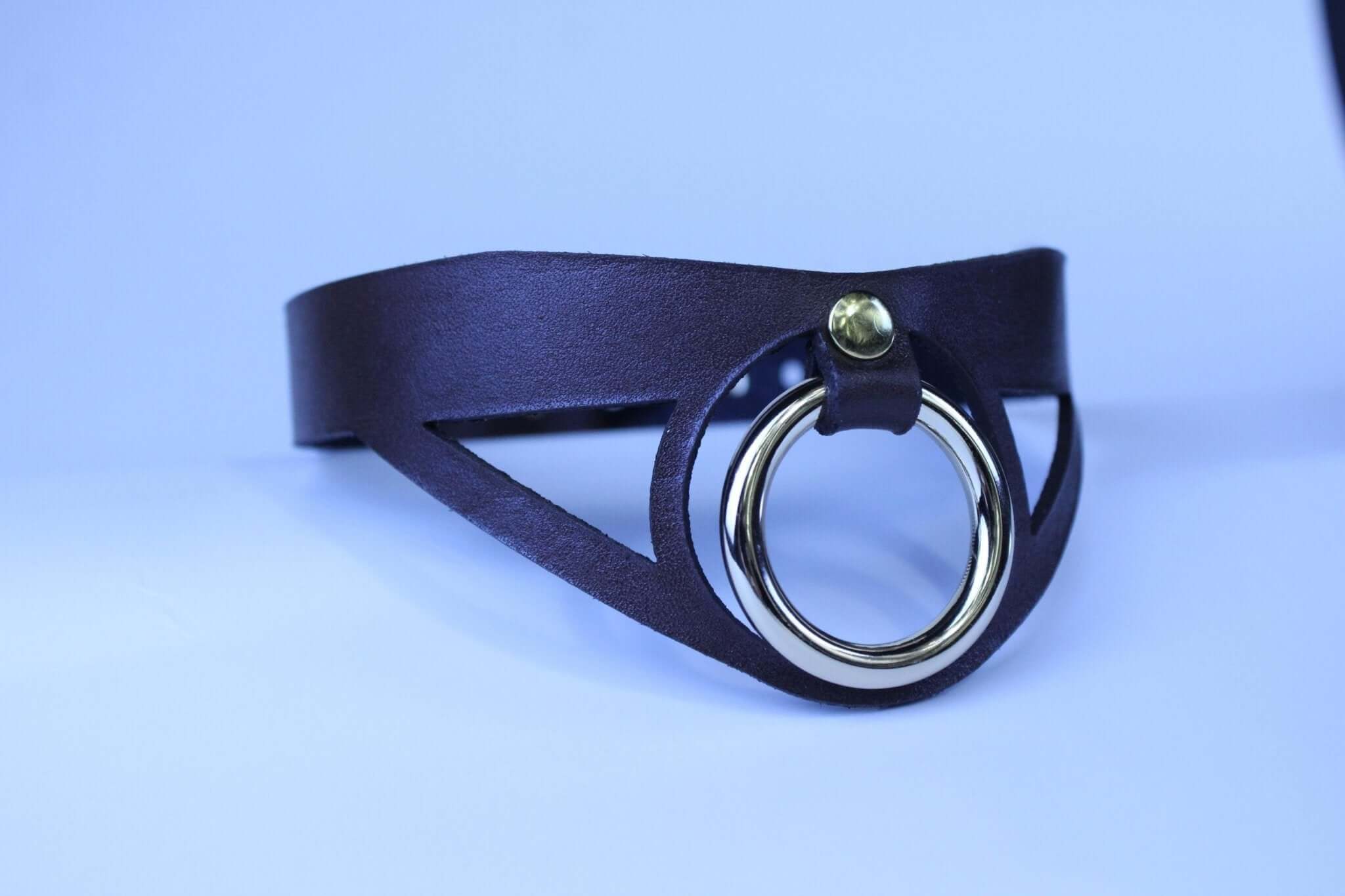 Choker Collar Minimalist BDSM Collar with Statement Ring  Elegant