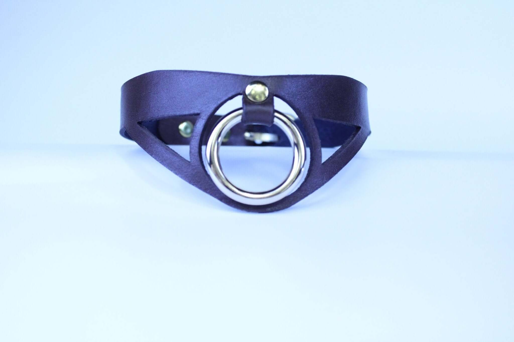 Choker Collar Minimalist BDSM Collar with Statement Ring  Elegant